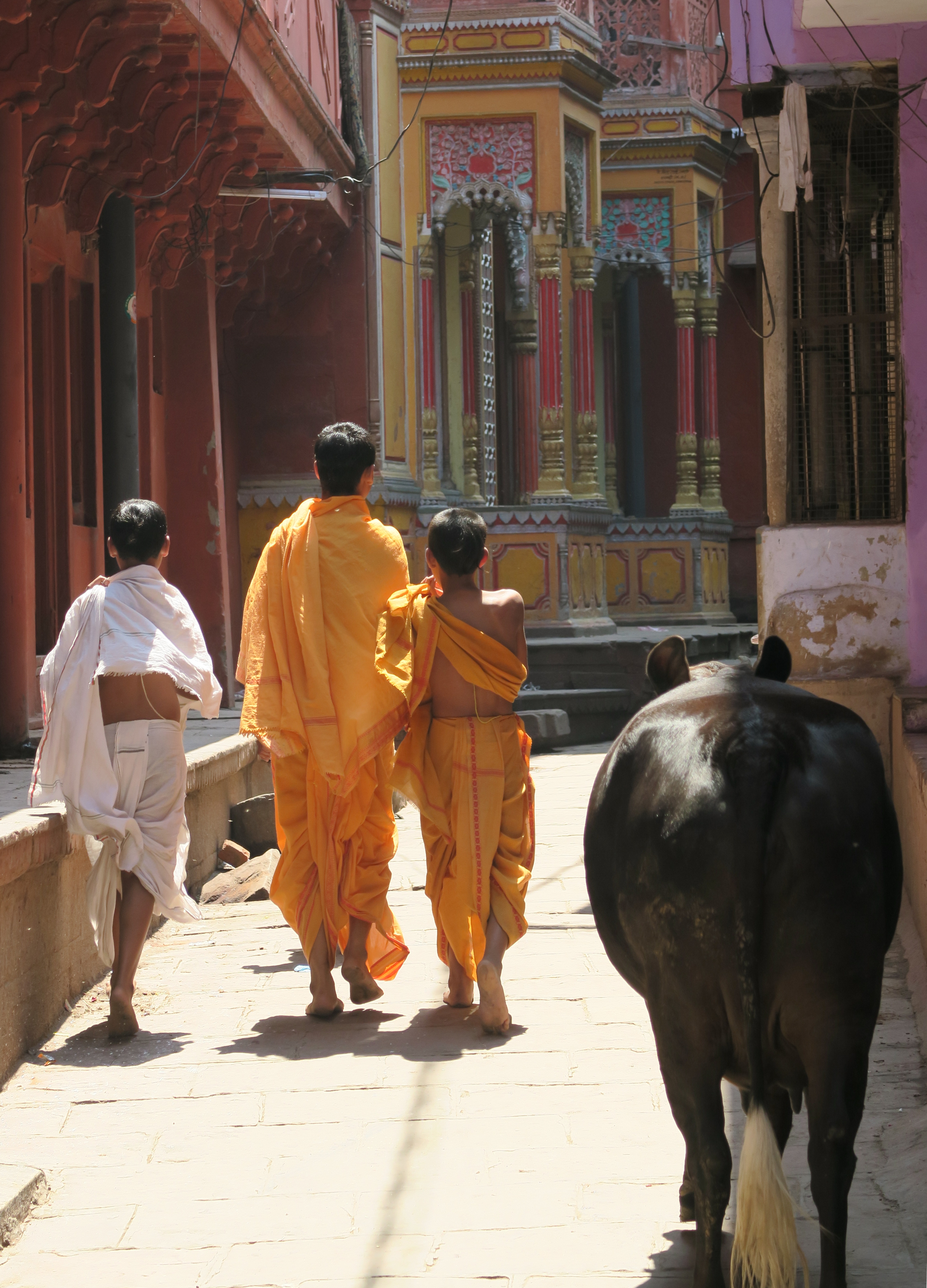 Des hindous marchent dans la rue à côté d'une vache