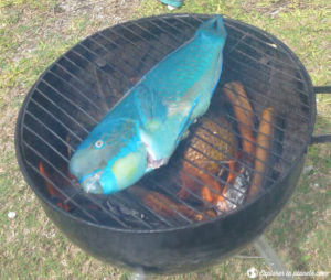 Un poisson perroquet sur BBQ permet d'économiser en Polynésie française.