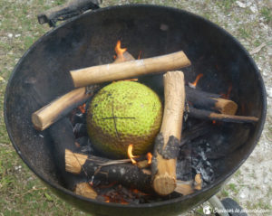 Un BBQ avec de l'uru permet de manger à petit prix en Polynésie française.