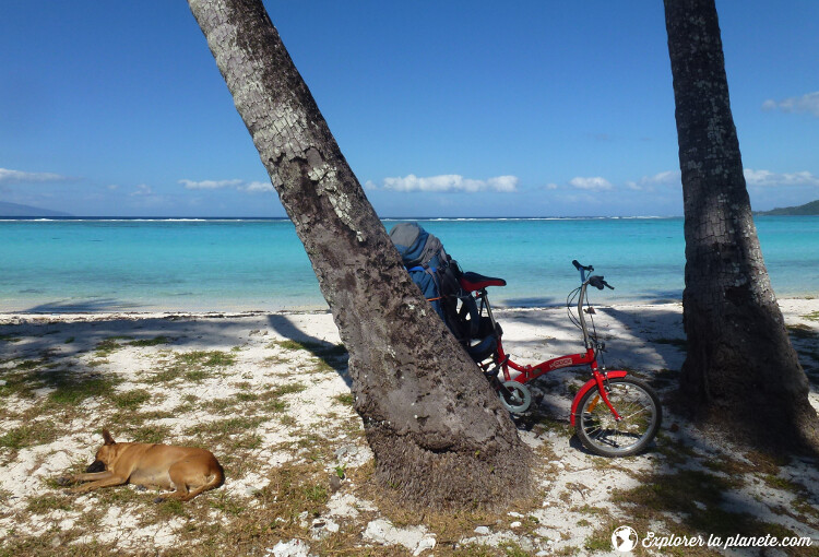 polynesie-francaise-petit-prix-velo-pliable-plage