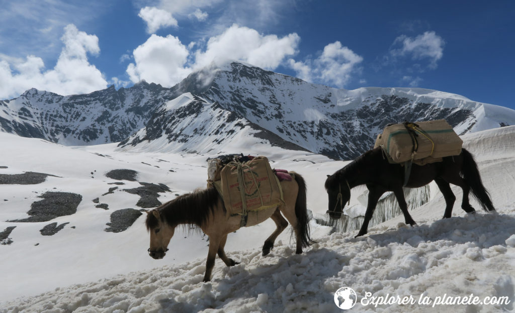 traversee-du-zanskar-88