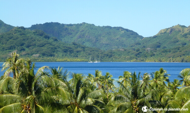 iles-visiter-polynesie-francaise-baie-a-huahine