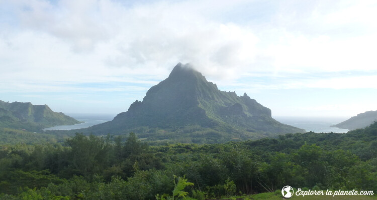 iles-visiter-polynesie-francaise-belvedere-moorea