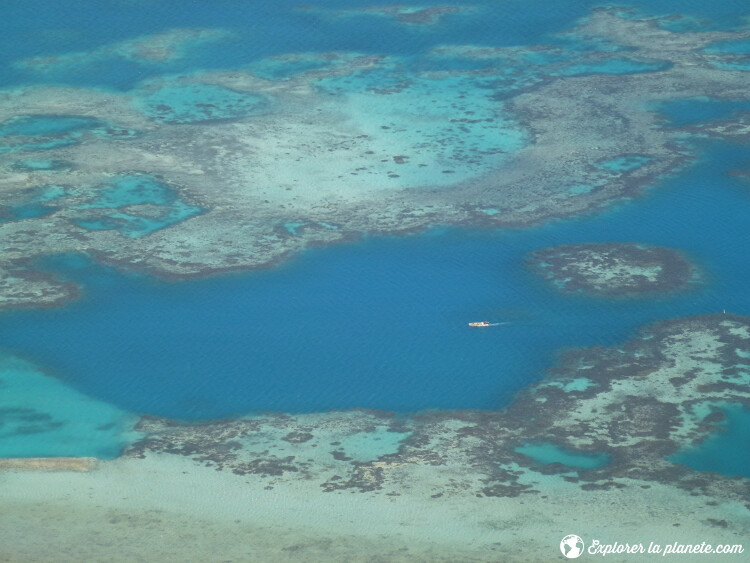 iles-visiter-polynesie-francaise-corail-lagon-maupiti