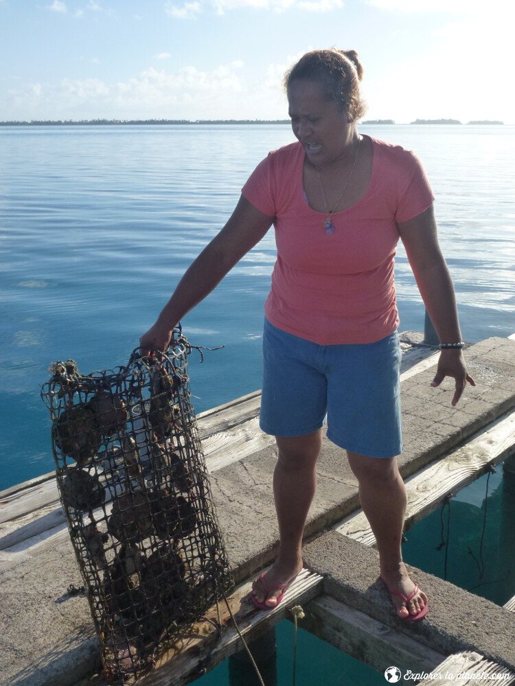 iles-visiter-polynesie-francaise-ferme-perliere-tahaa