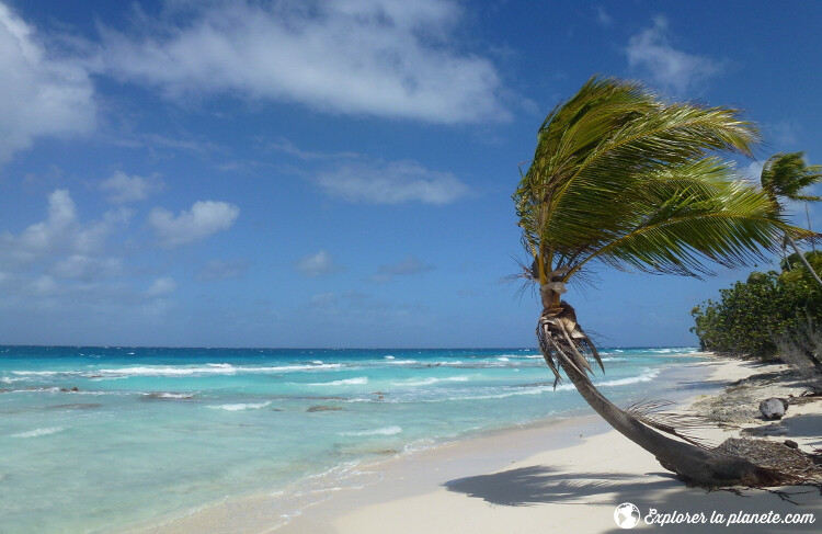 iles-visiter-polynesie-francaise-plage-fakarava