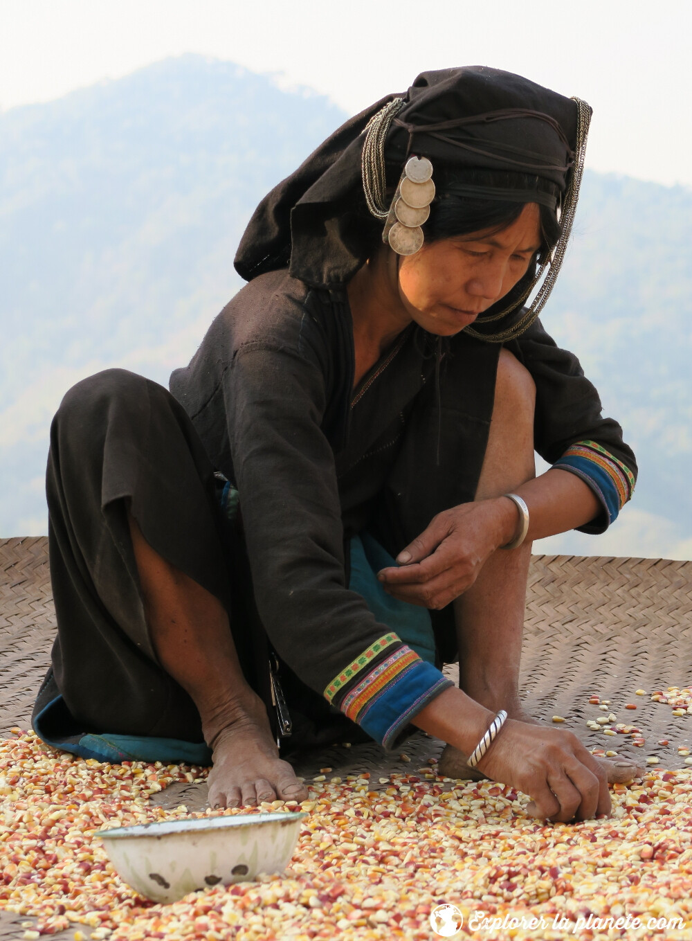 Femme Akha pixor qui trie le grain en habit traditionnel