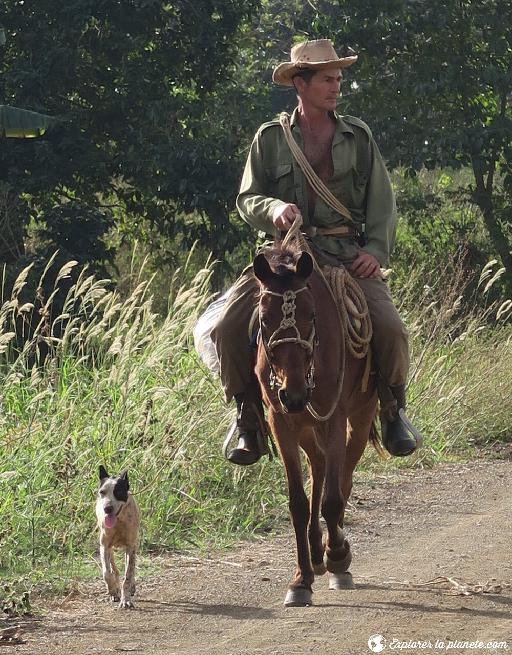 Cowboy cubain sur son cheval avec son chien à Vinales.