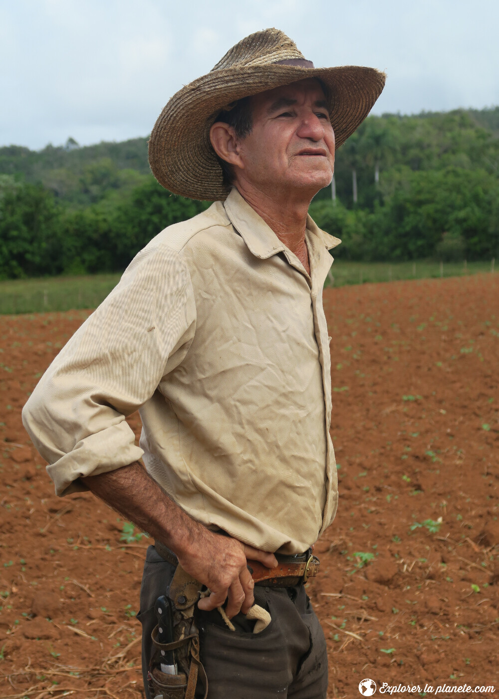 Un cowboy cubain à Vinales.