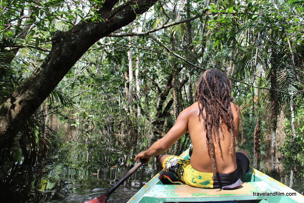 Barque dans la jungle de Alter do Chao au Brésil