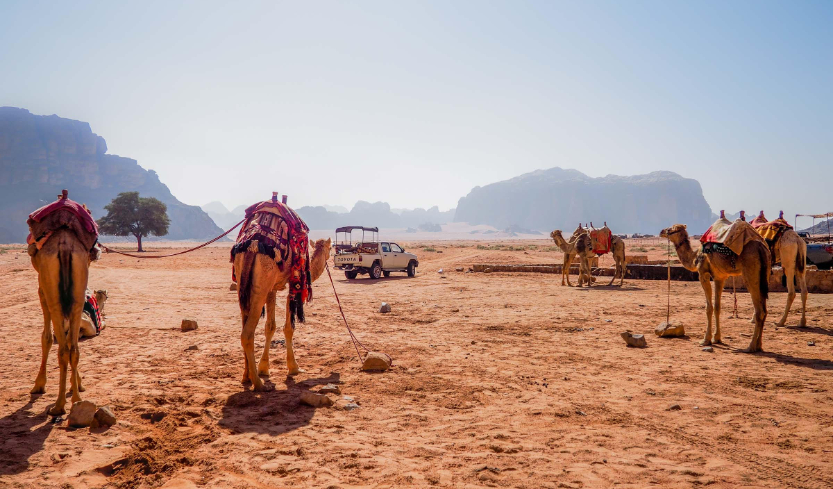 Campement Wadi Rum en Jordanie