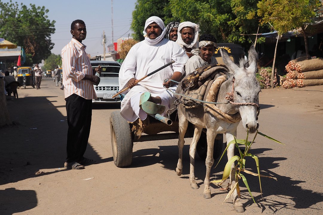 Hommes avec charrette tirée par un âne au Soudan
