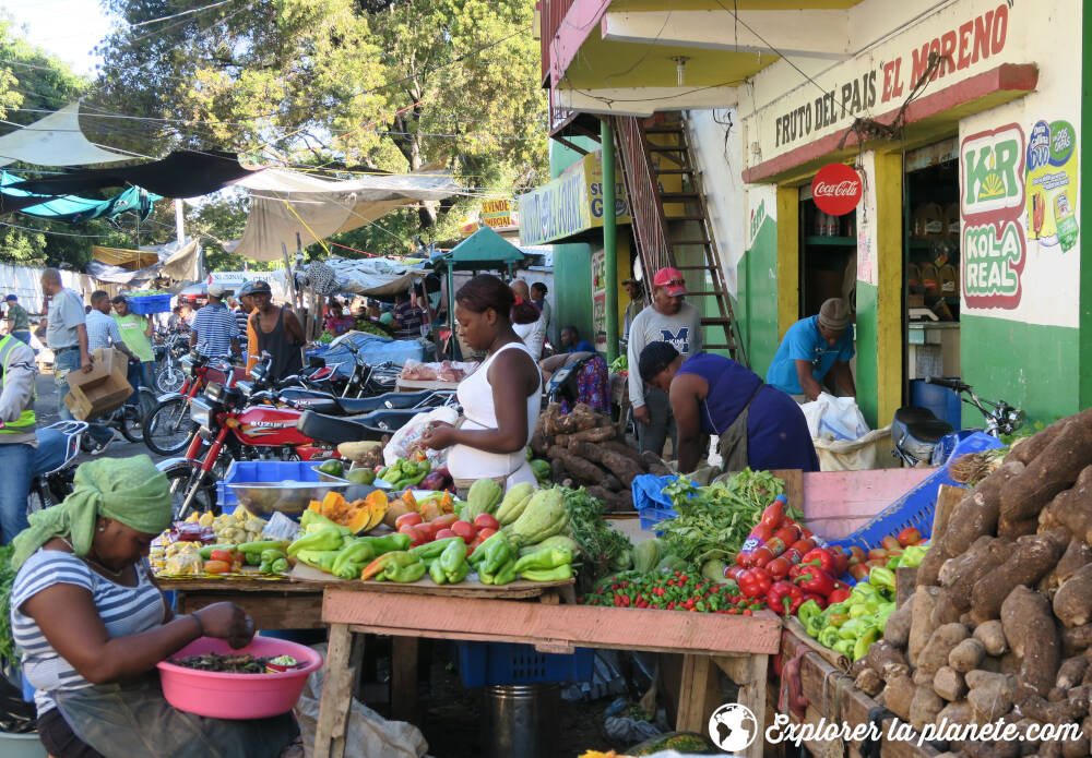Un marché avec plusieurs légumes en République dominicaine