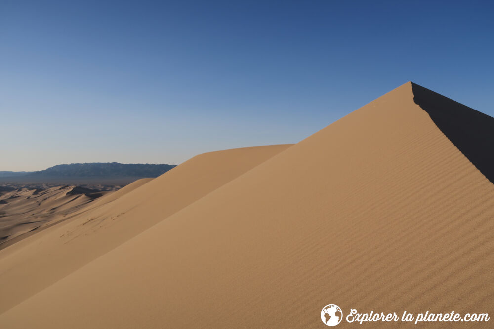 La vue des dunes de sable de Khongoryn Els au petit matin dans le dsert de Gobi en Mongolie.