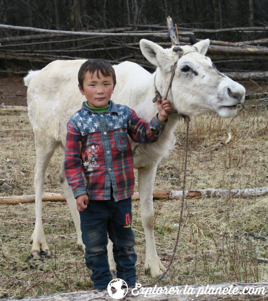 Un jeune Tsaatan qui tient son renne.