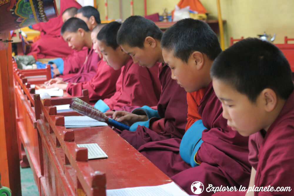 Les jeunes moines en prière au monastère de Amarbayasgalant khiid en Mongolie.