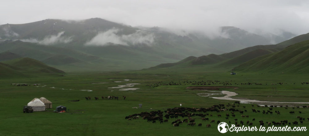 Jailoo au Kirghizistan (camp temporaire pour l'été pour que le bétail puisse manger).