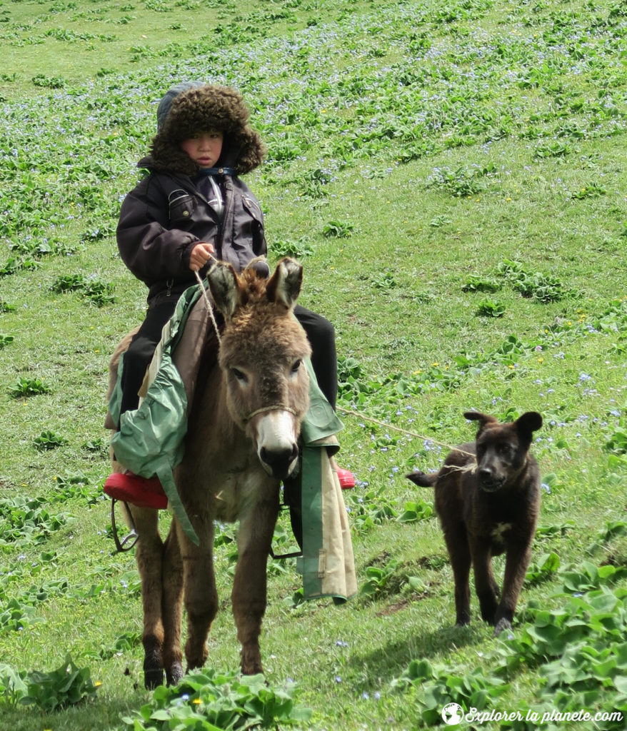 Un enfant kirghize sur un âne avec son chien.